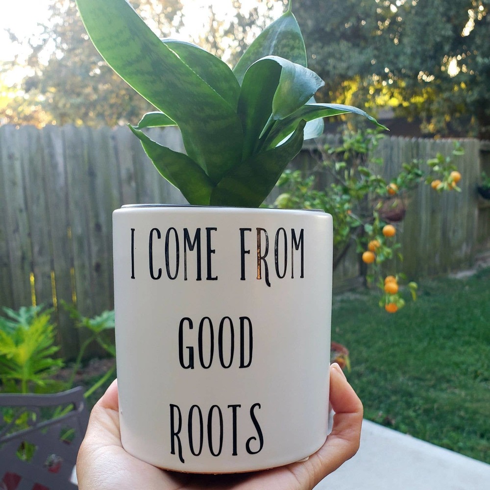 Funny Ceramic Planter
